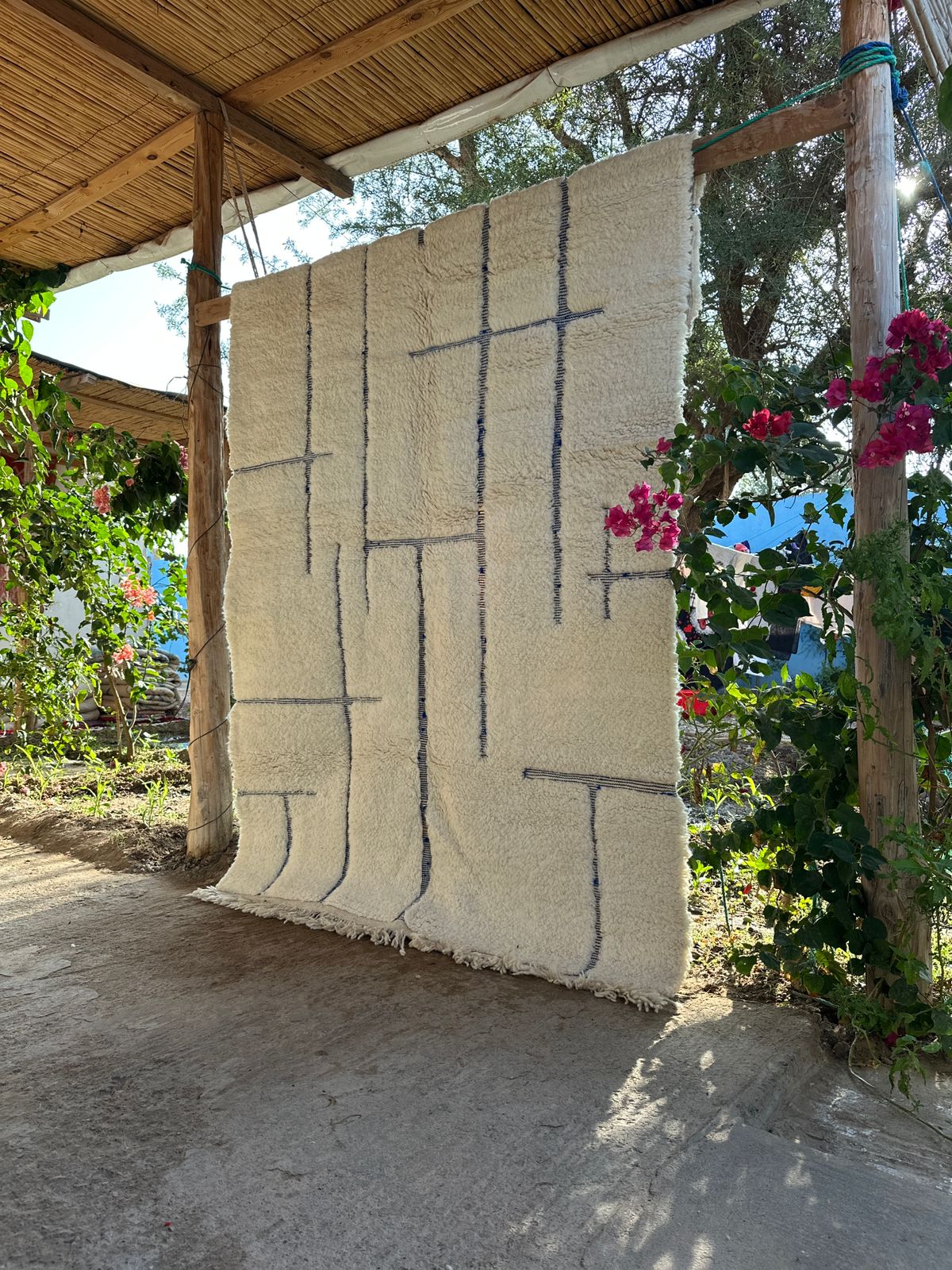 Eddy in Marrakech 1 - Disponible