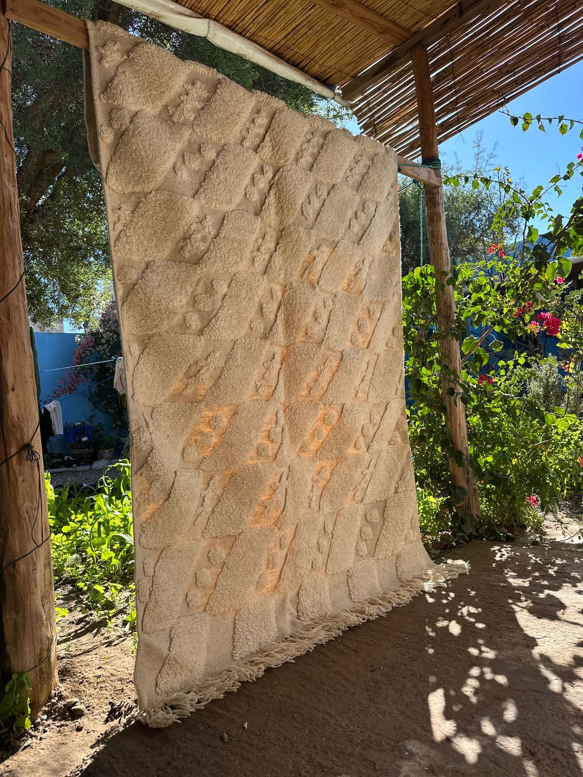 Eddy in Marrakech 10 - Disponible