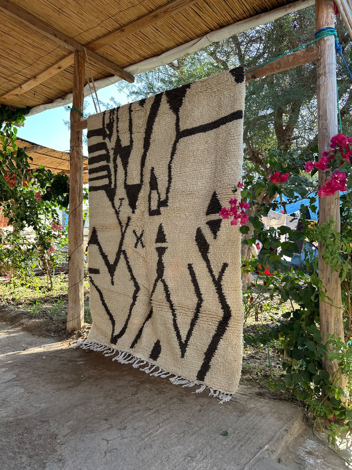 Desert Queen 1 - Disponible