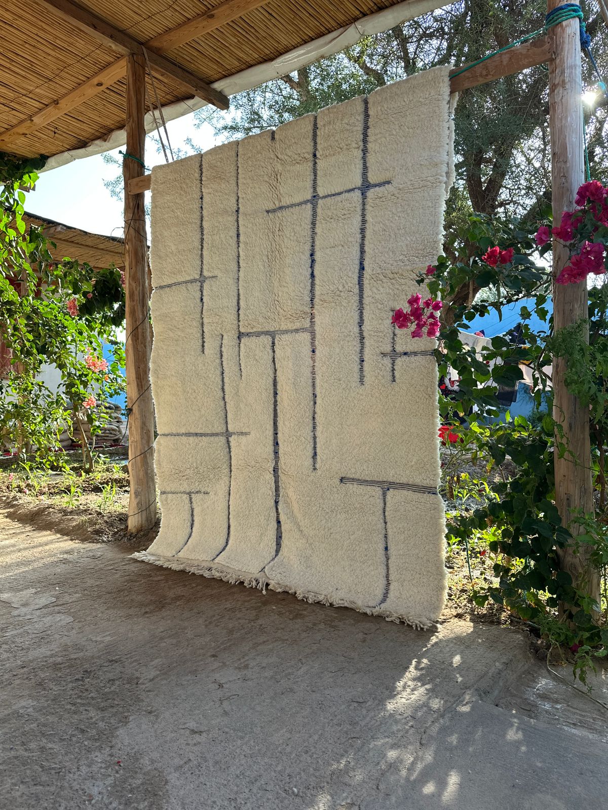 Eddy in Marrakech 1 - Disponible