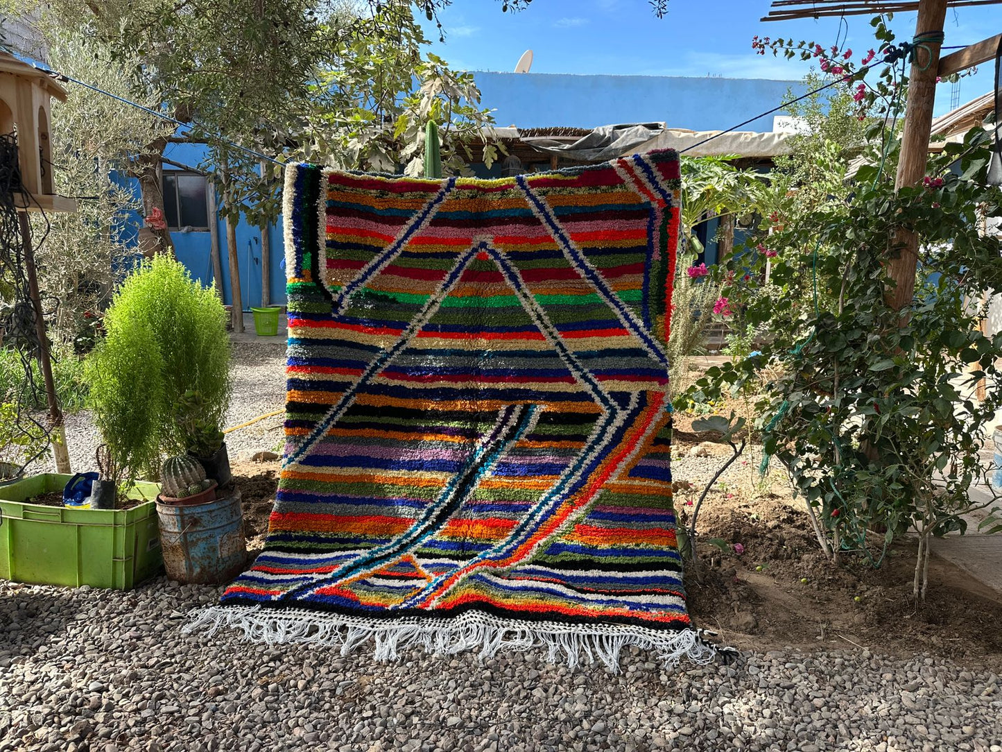 Desert Queen 4 - Disponible