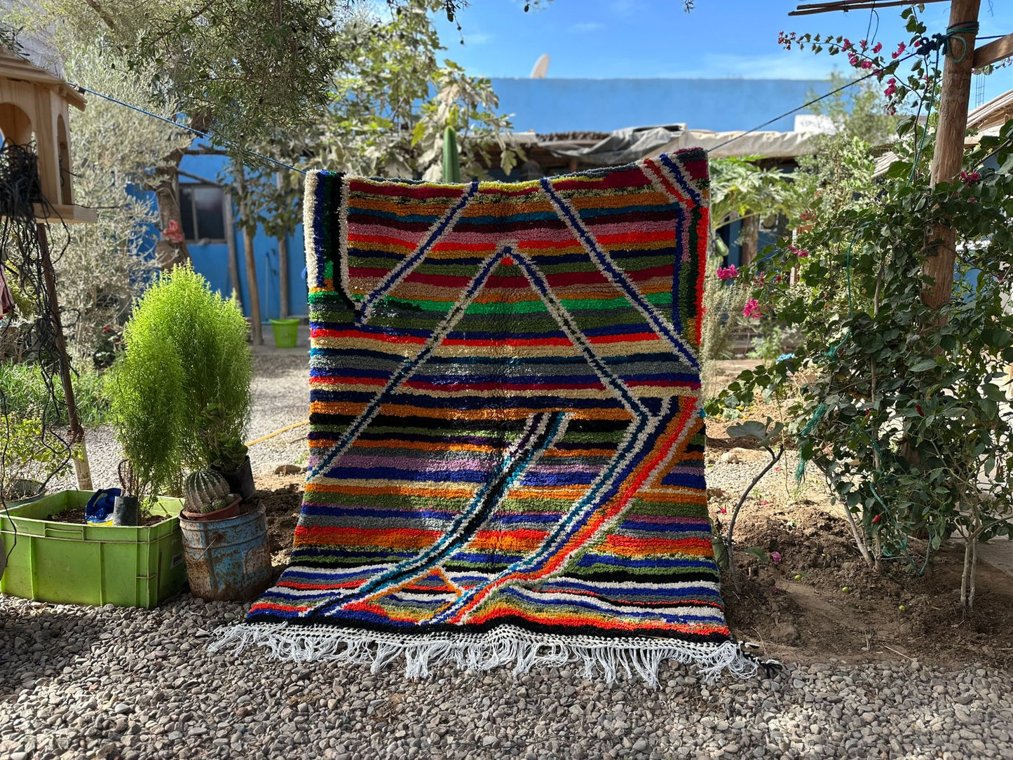 Desert Queen 4 - Disponible