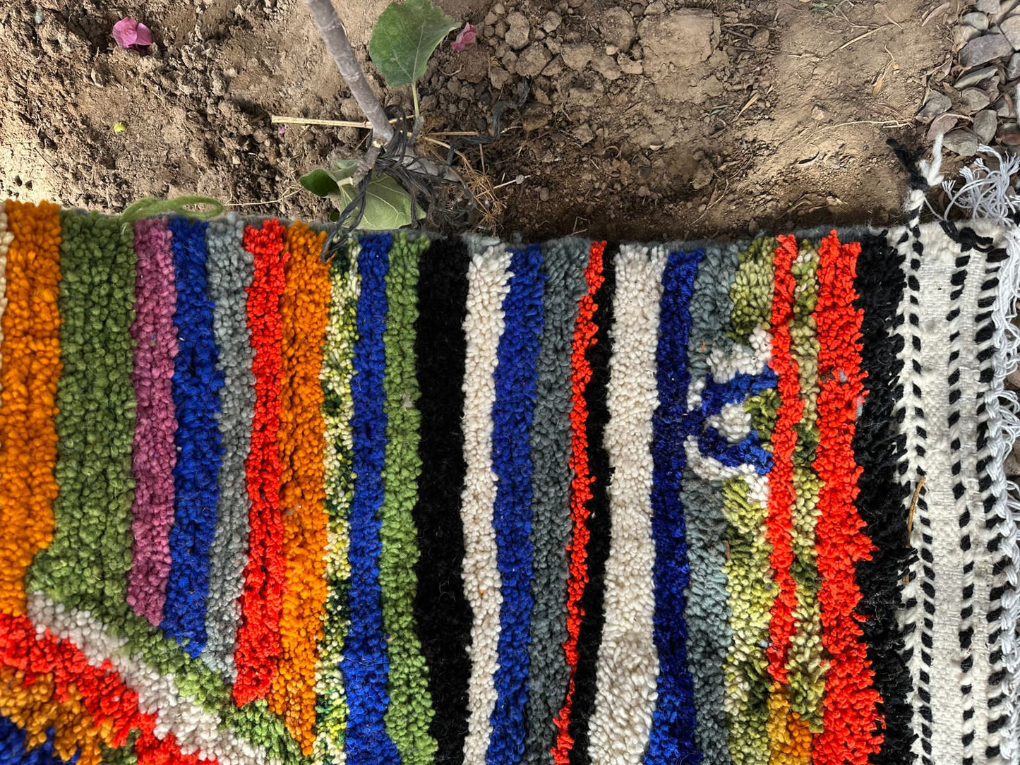 Desert Queen 4 - Disponible