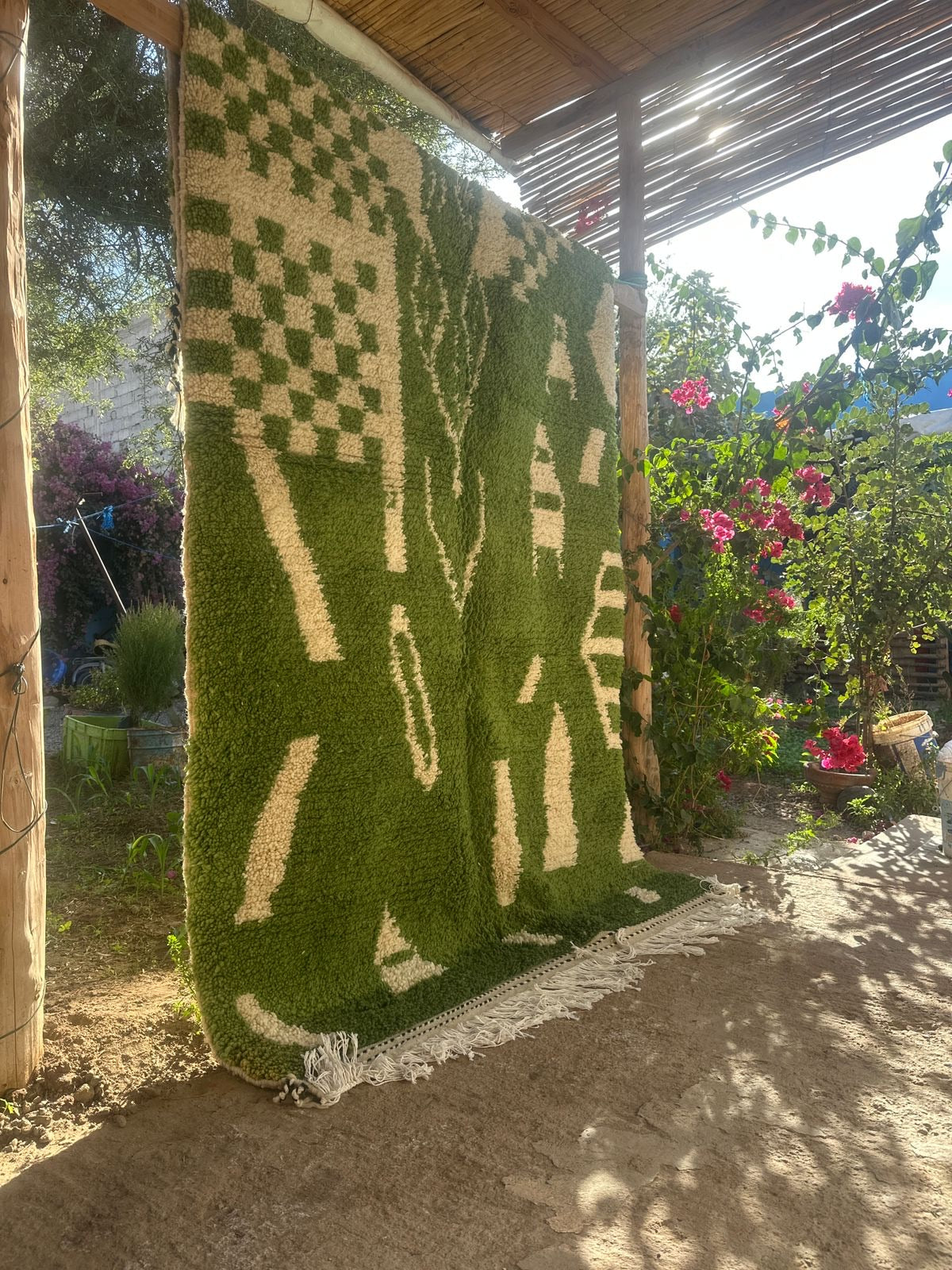 Desert Queen 26