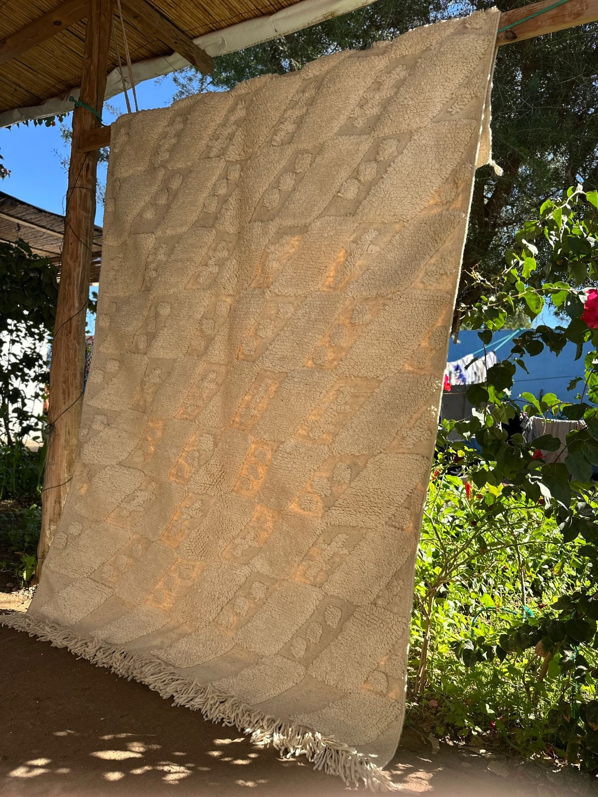 Eddy in Marrakech 10 - Disponible