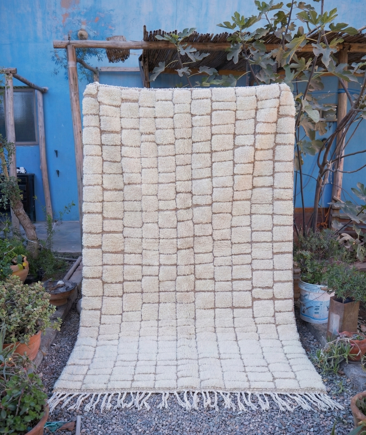 Eddy in Marrakech 6 - Disponible